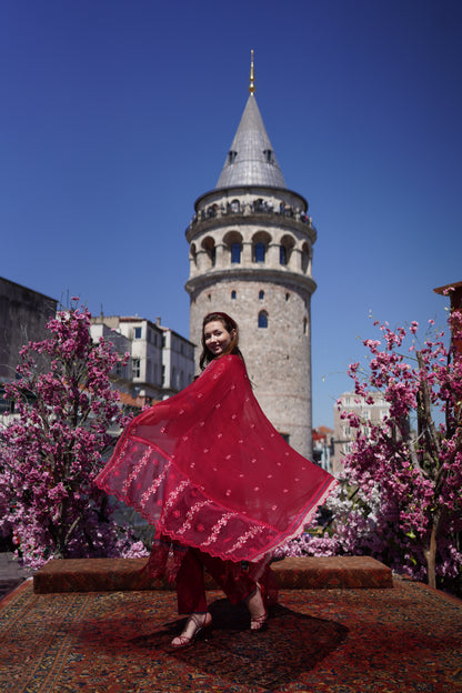 ARIA-EMBROIDERED LAWN 3 PCS (HG-08)